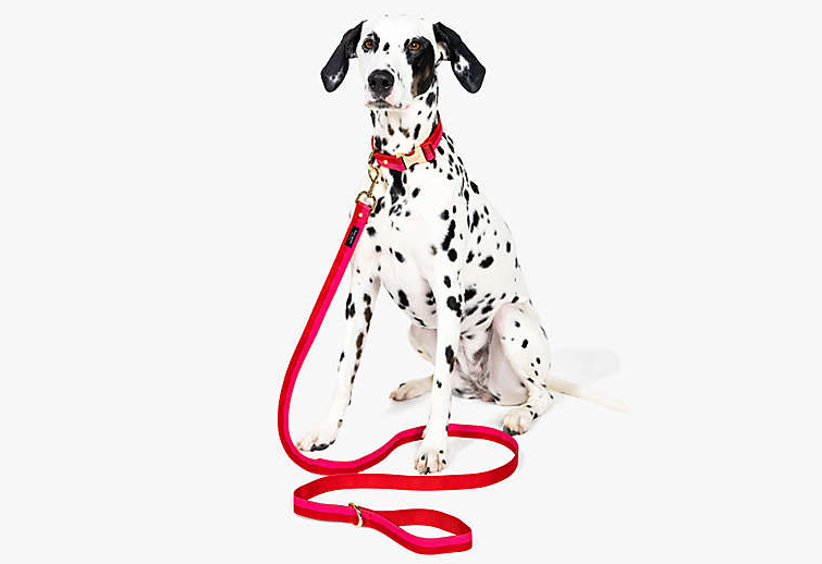 Dog Leash Large in Red/Pink Pet in  at Wrapsody