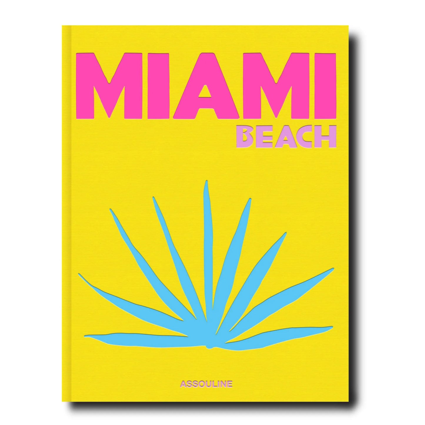 Travel Book Books in Miami Beach at Wrapsody
