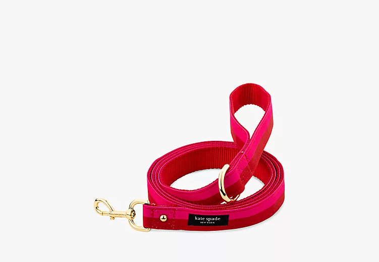 Dog Leash Large in Red/Pink Pet in  at Wrapsody