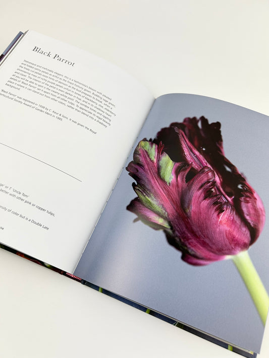 Book of Tulips Books in  at Wrapsody