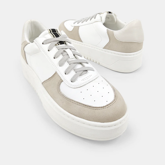 ShuShop Shirley Sneaker Shoes in White at Wrapsody